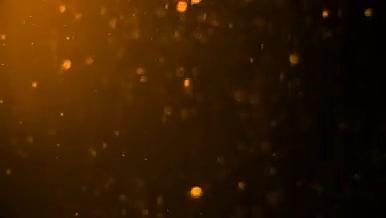 金色粒子雨特效背景视频视频的预览图